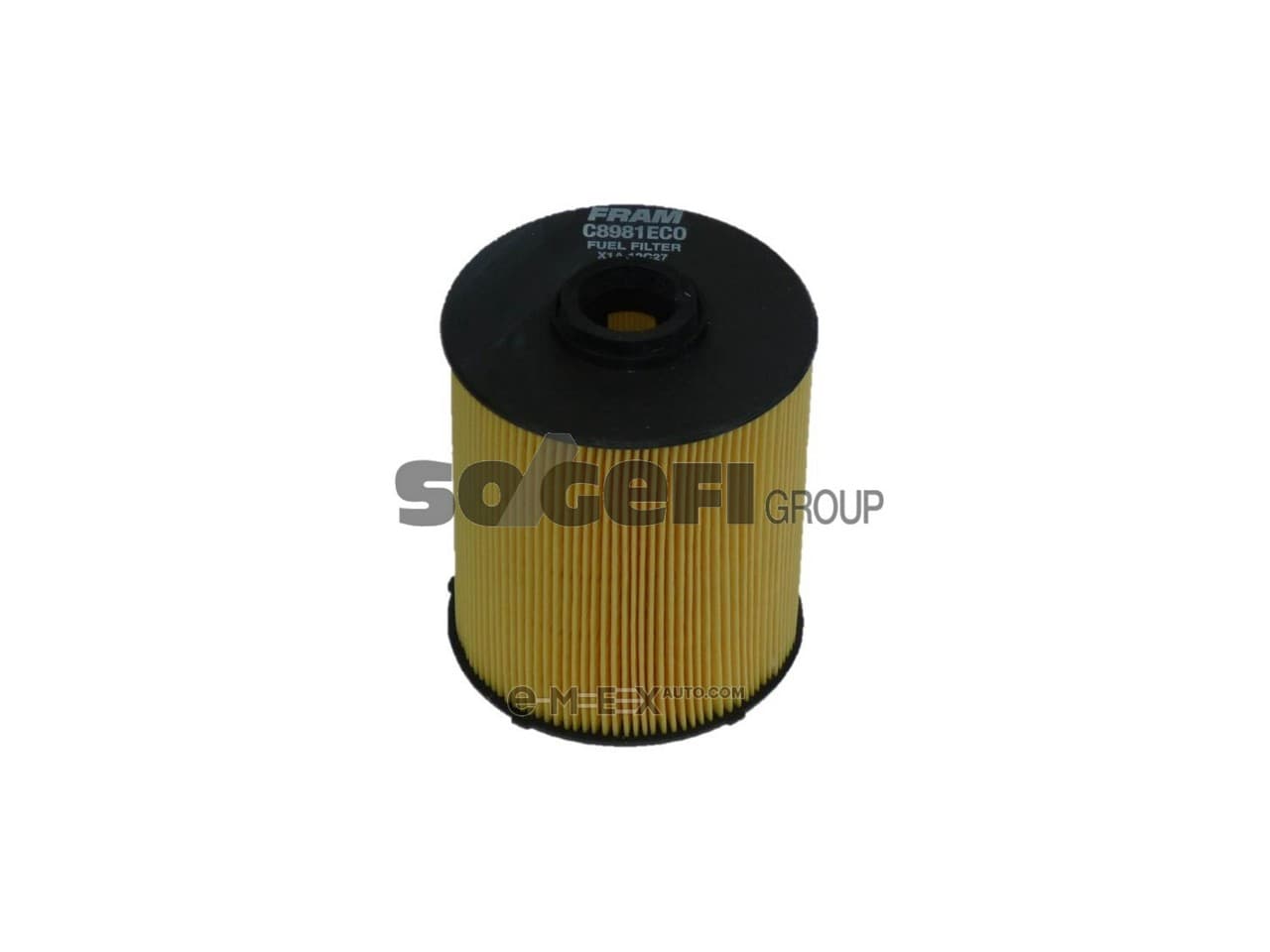 OEM FILTER ASSY, FUEL PUMP C8981ECO