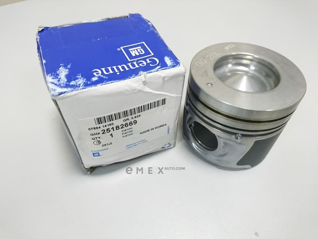 OEM PISTON ASSY 25182669