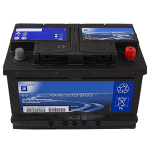 OEM BATTERY ASM 94576163