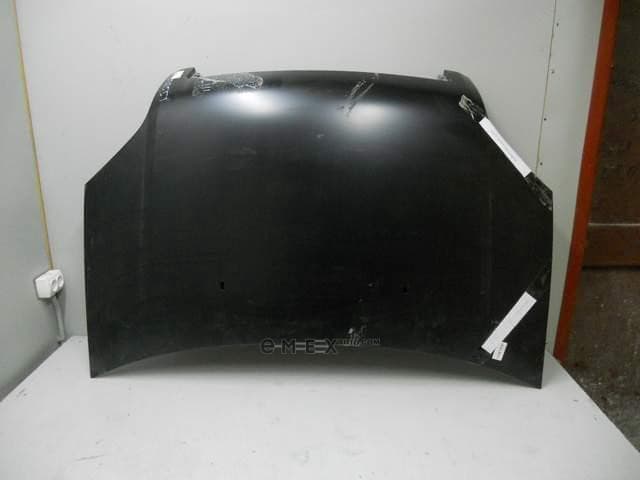 OEM HOOD ASY 1532551