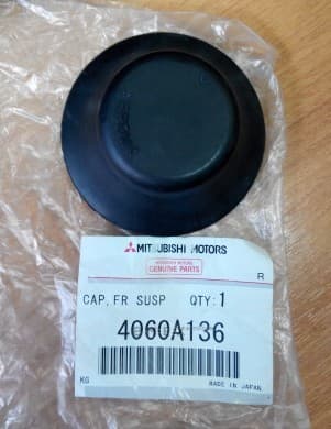 OEM PLUG, BODY PANEL 4060A136