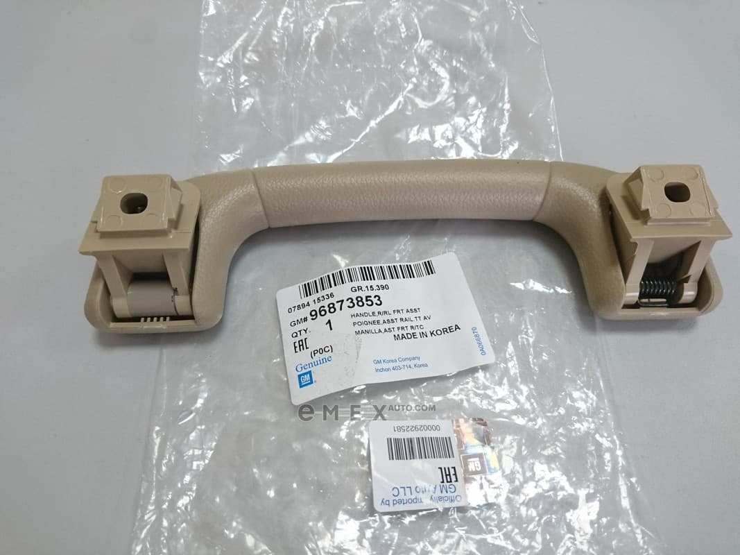 OEM HANDLE ASM-R/RL FRT ASST 96873853