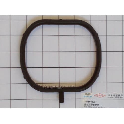 OEM GASKET RUBBER SEAL 1016055007