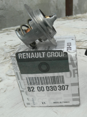 OEM THERMOSTAT ASSY 8200030307