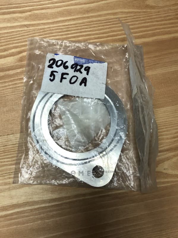 OEM GASKET, RUBBER 2069295F0A