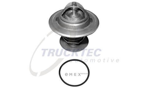 OEM Thermostat 0719030