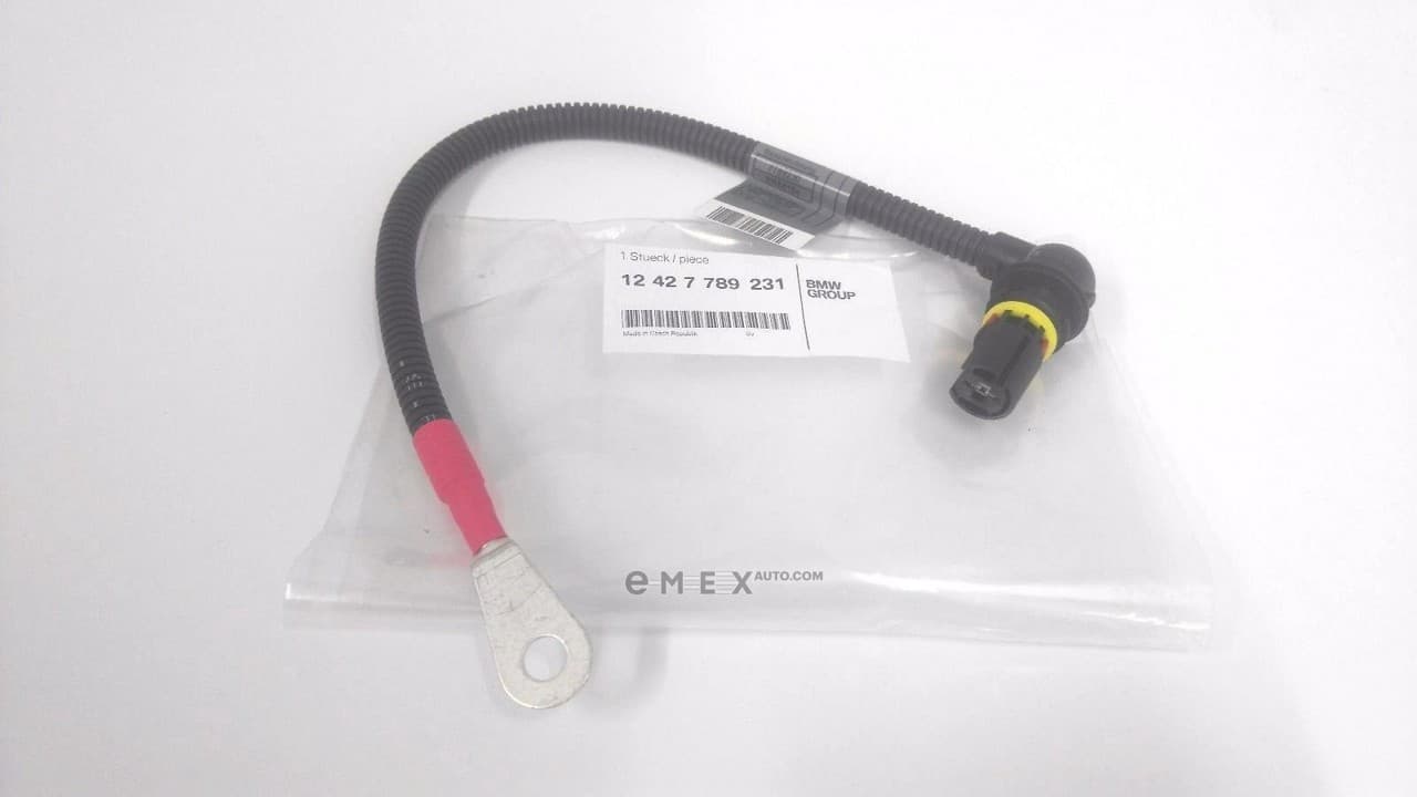 OEM WIRE 12427789231