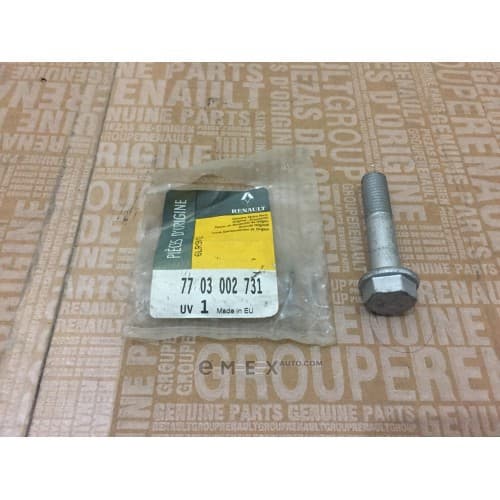 OEM BOLT, METAL 7703002731