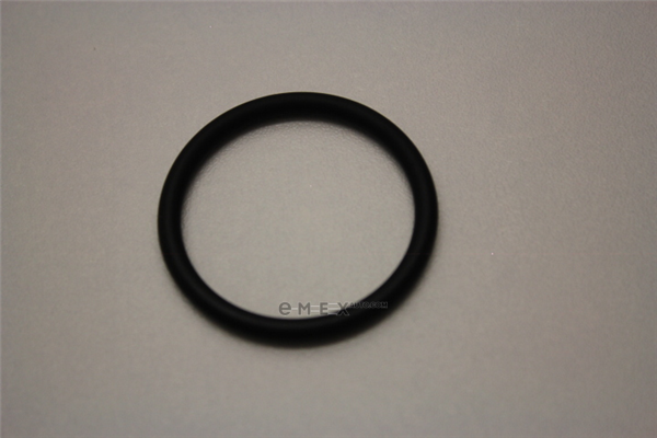 OEM SEAL N10139201