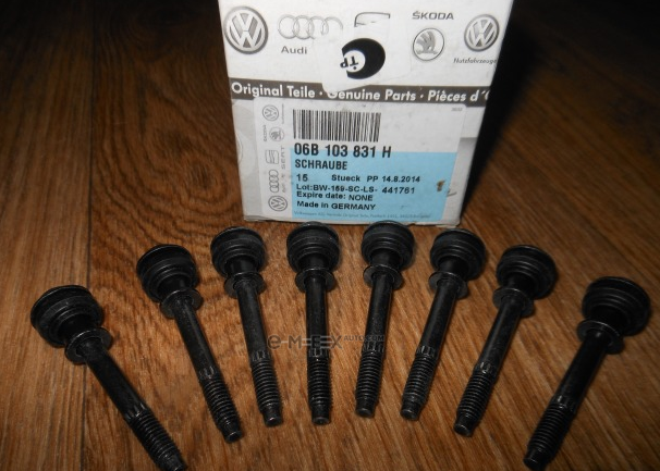 OEM BOLT, METAL 06B103831H