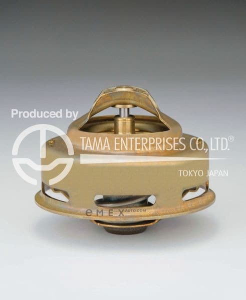 OEM THERMOSTAT WS7882A