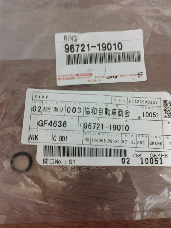 OEM RING 9672119010