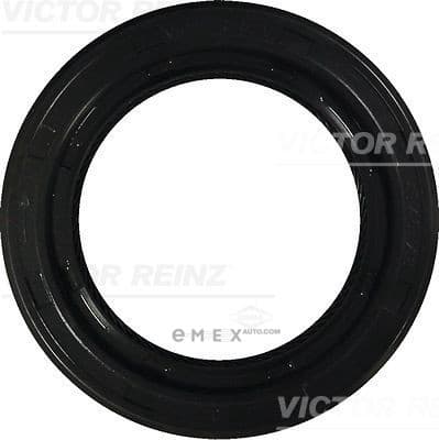 OEM SEAL RING 812624800