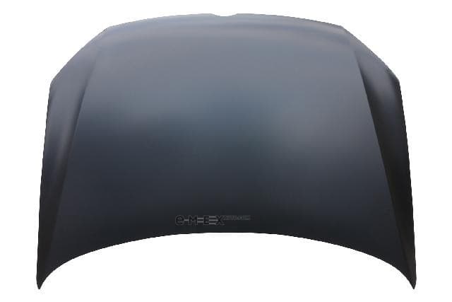 OEM HOOD VG20045A