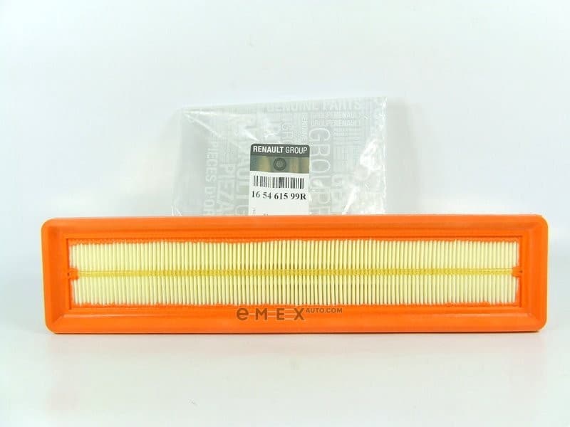 OEM CRTG-AIR FILTER 165461599R