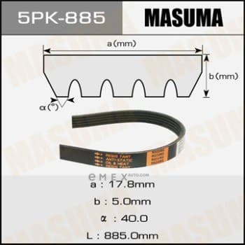 OEM BELT, V 5PK885