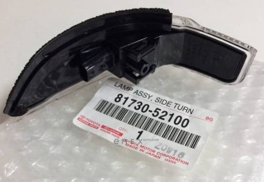 OEM LAMP ASSY, TURN SIGNAL 8173052100