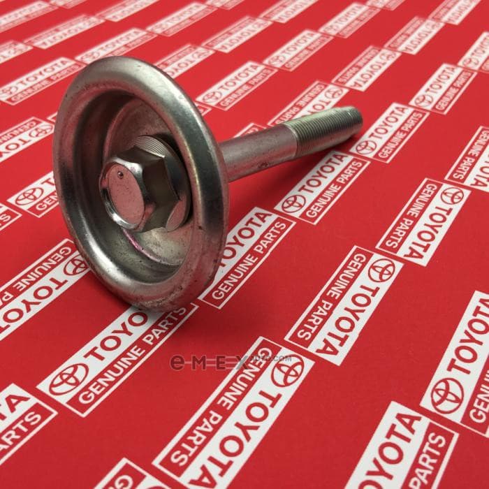 OEM BOLT, W/WASHER 9011912372