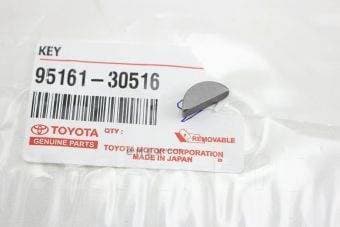 OEM KEY 9516130516