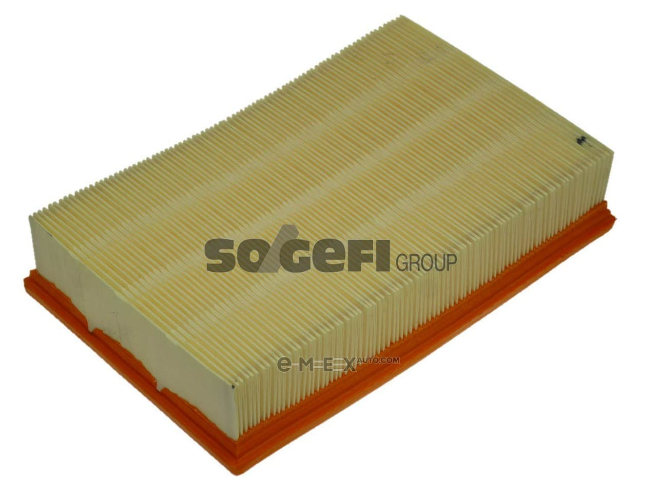 OEM FILTER ASSY, AIR ELEMENT CA8919