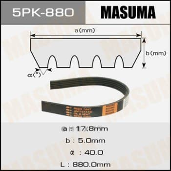 OEM BELT, V 5PK880