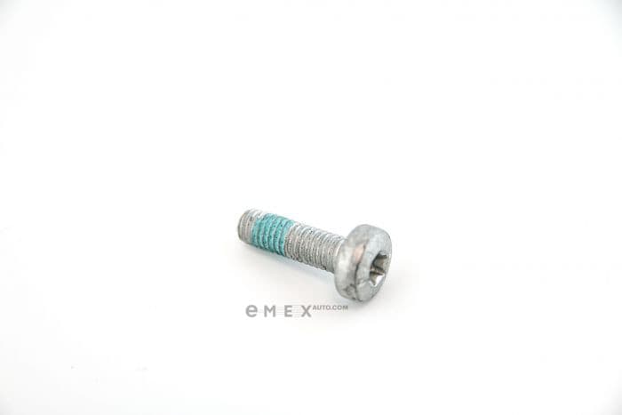 OEM BOLT, METAL N10124308