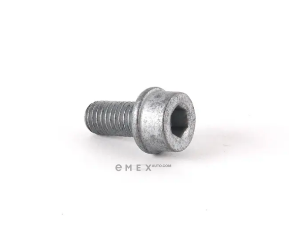 OEM SCREW N10303607