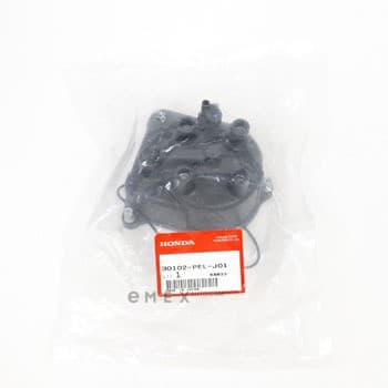 OEM CAP ASSY 30102PELJ01