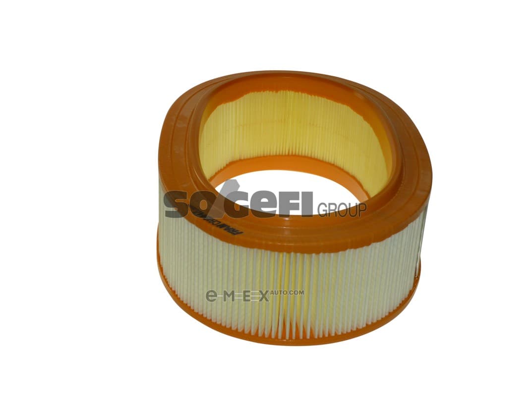 OEM FILTER ASSY, AIR ELEMENT CA10447