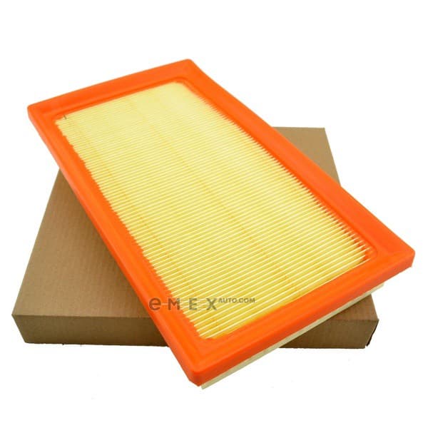 OEM AIR FILTER 178010T060