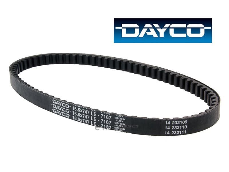 OEM BELT, TIMING 7167