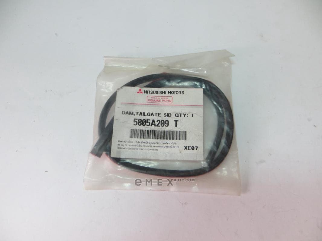 OEM WEATHERSTRIP, DOOR GLASS 5805A209