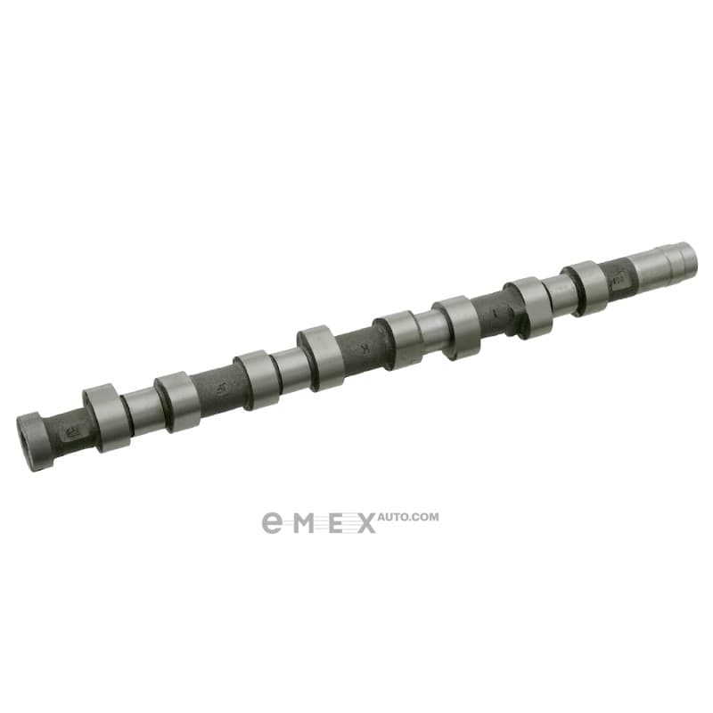 OEM CAMSHAFT 24689