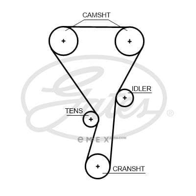 OEM BELT, TIMING 5699XS