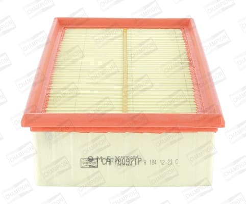 OEM FILTER ASSY, AIR ELEMENT CAF100971P