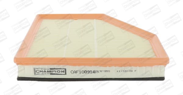 OEM FILTER ASSY, AIR ELEMENT CAF100934P