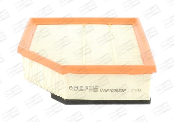 OEM FILTER ASSY, AIR ELEMENT CAF100932P