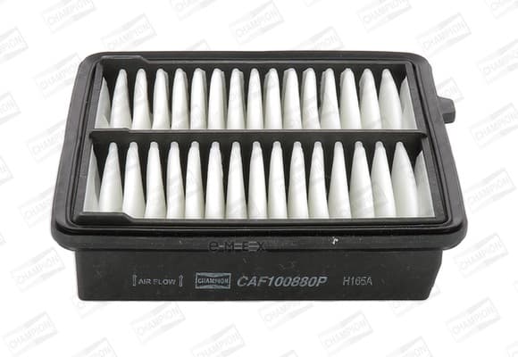 OEM FILTER ASSY, AIR ELEMENT CAF100880P