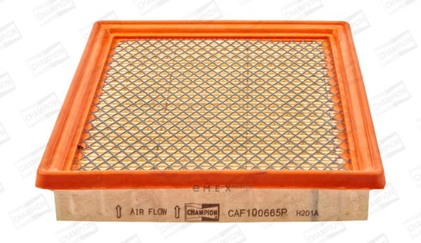 OEM FILTER ASSY, AIR ELEMENT CAF100665P