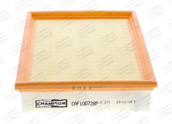 OEM FILTER ASSY, AIR ELEMENT CAF100728P