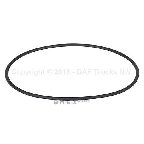 OEM O RING. HUB COVER 1369878