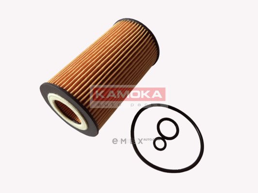 OEM OIL FILTER F102101