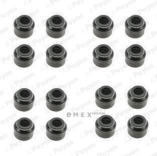 OEM SEAL KIT, VALVE STEM OIL HR5048