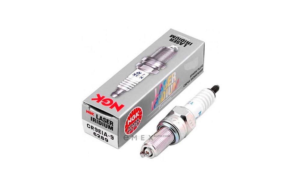 OEM SPARK PLUG 6289