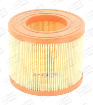 OEM FILTER ASSY, AIR ELEMENT CAF100471C