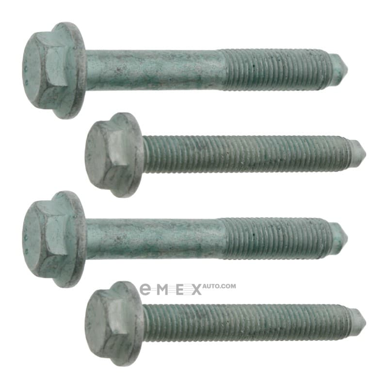 OEM SCREW KIT 05 24424