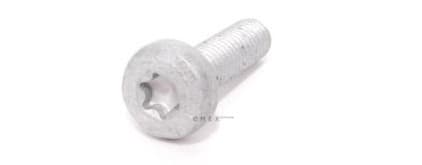 OEM BOLT, METAL N10700201