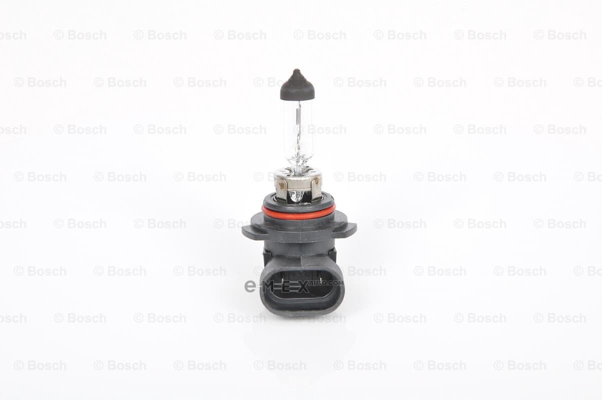 OEM LIGHT BULB 1987301063