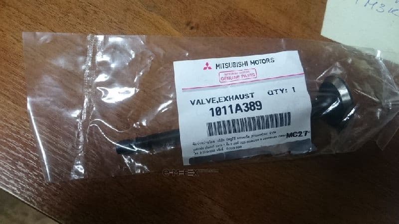 OEM VALVE, INTAKE 1011A389