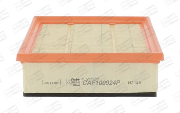 OEM FILTER ASSY, AIR ELEMENT CAF100924P